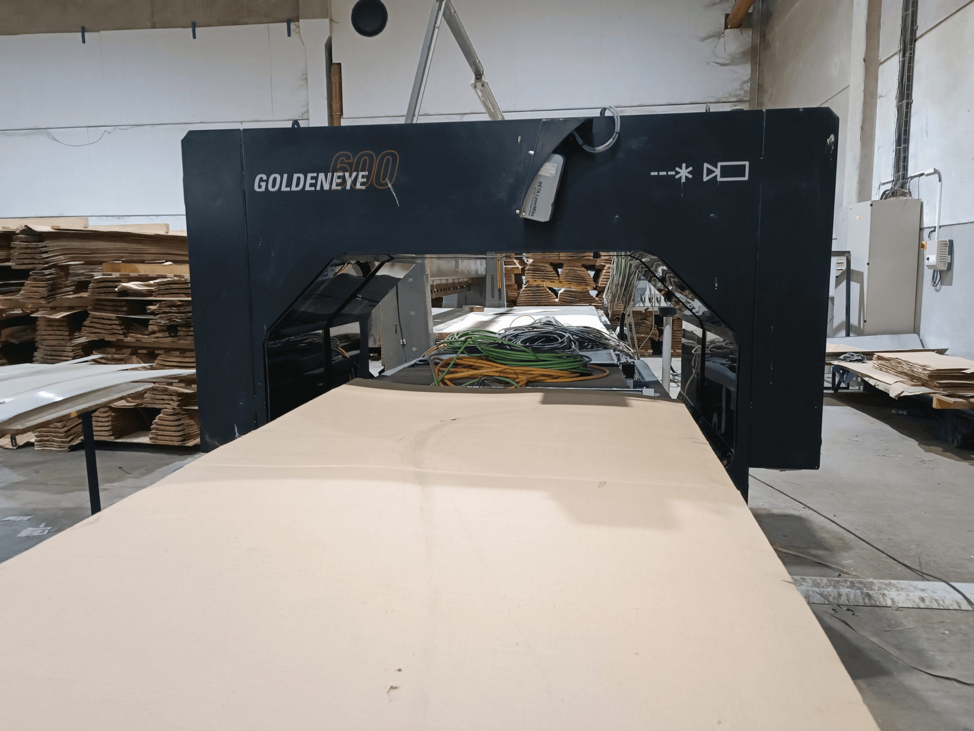 Microtec GOLDENEYE GLD 600 DSC medienos apdirbimo staklės su dideliu pjovimo paviršiumi ir įranga dirbtuvėse iš priekio.